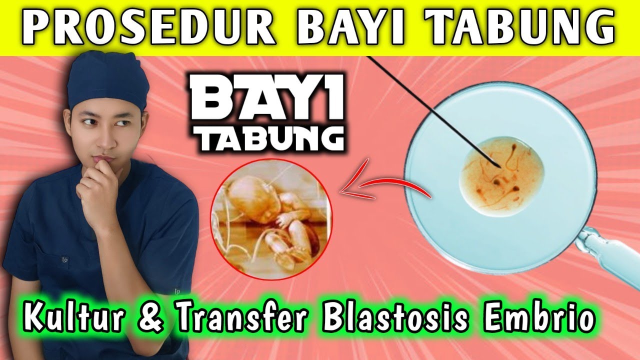 PROSES BAYI TABUNG | Mengenal Kultur dan Transfer Blastosis Embrio || dr. Andi