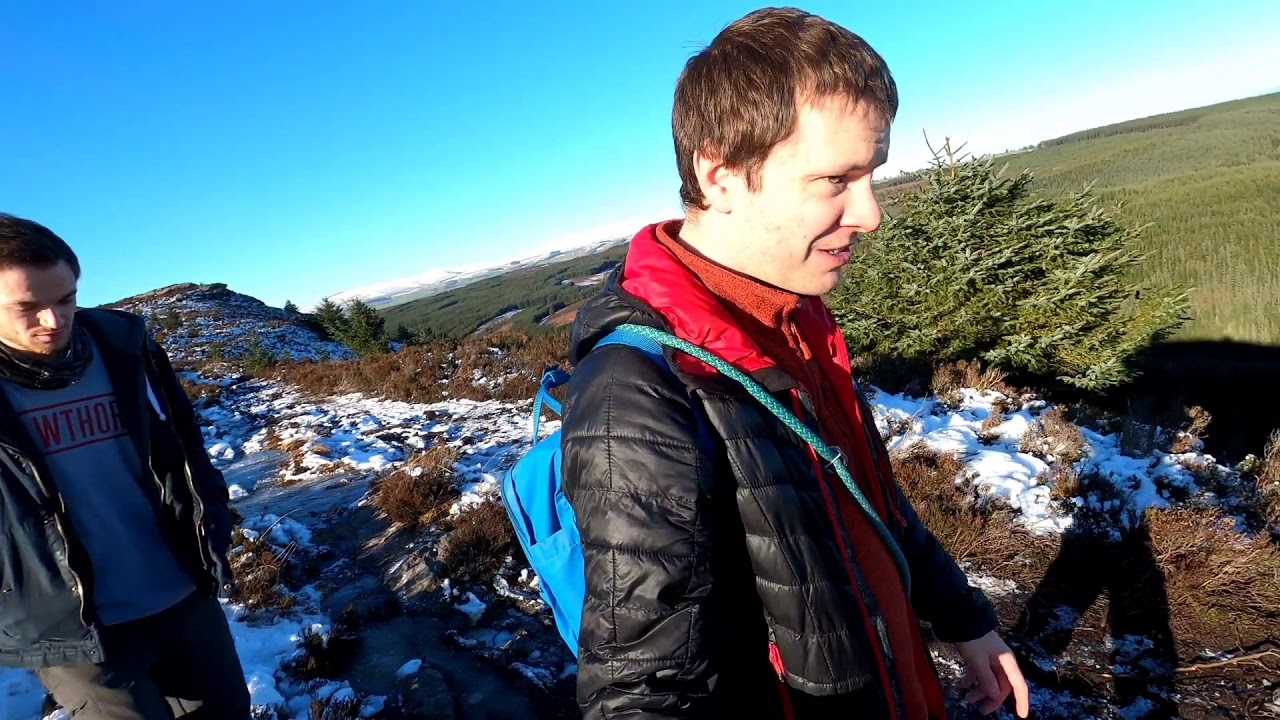 Thrunton Woods Northumberland