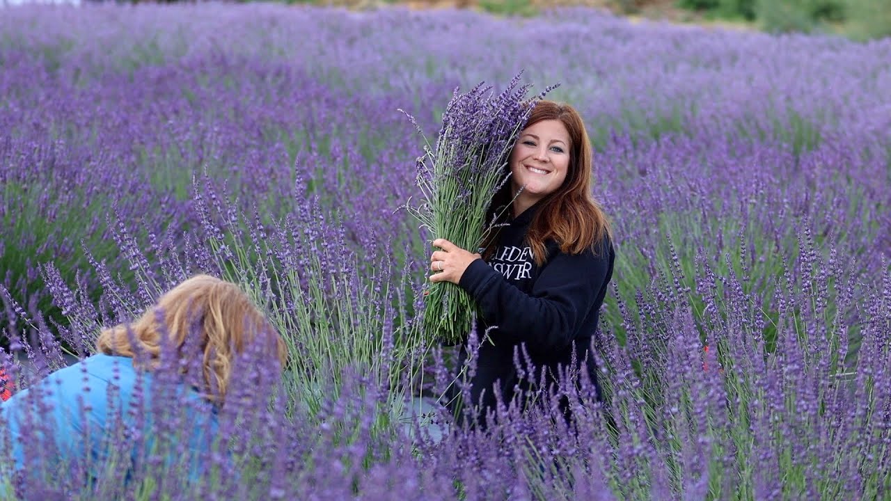 Visiting a Local Lavender Farm & Making Lavender Wreaths With My Mom! 💜🌿🥰// Garden Answer