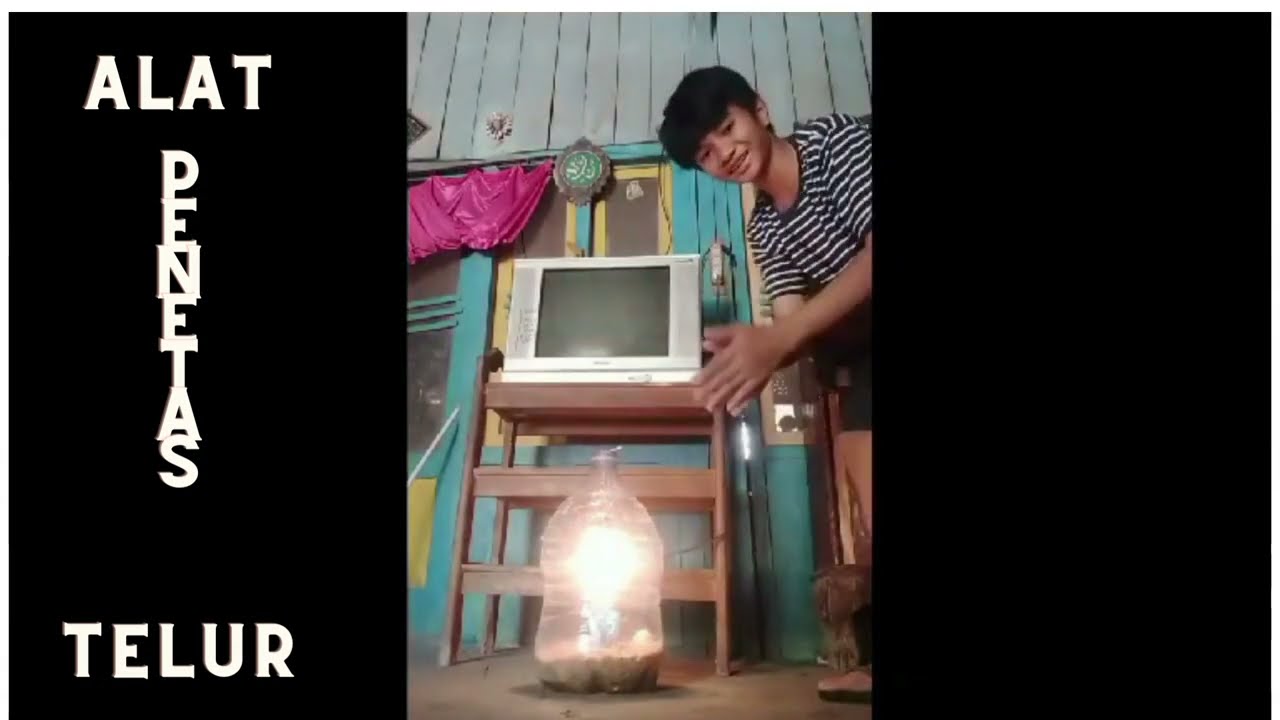 tutorial alat p e n e t a s telur dari galon lee mineral@enysetyorini7438