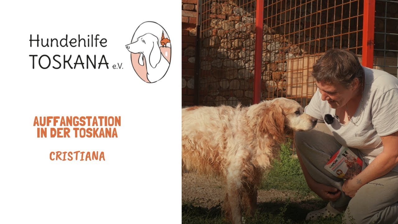 Auffangstation in der Toskana | Zu Besuch bei Cristiana | Hundehilfe Toskana e.V. | Tierschutz