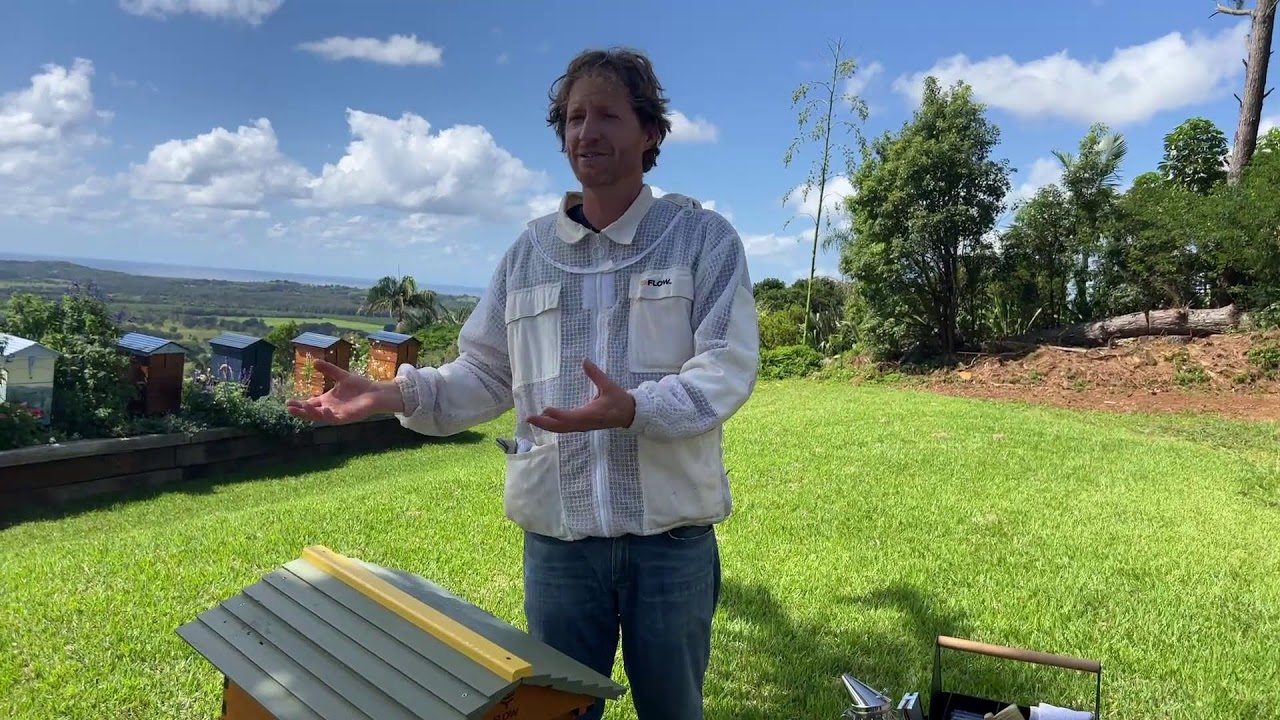 Langstroth to Flow Hive swap
