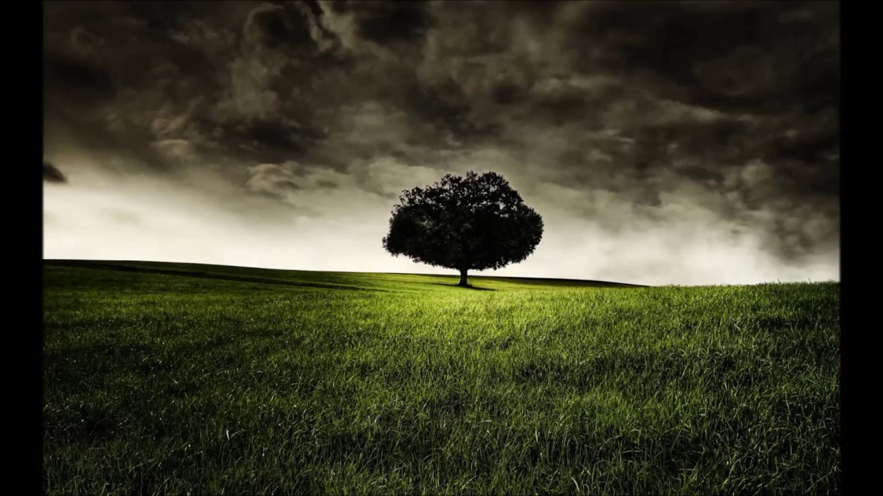 Oh My Servants | Shaykh Mawlānā Muhammad Saleem Dhorat hafizahullāh