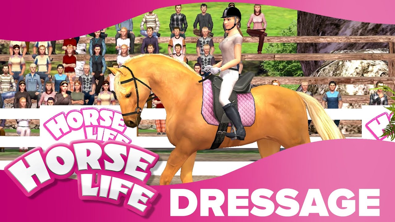 Amateur Dressage 2 | Horse Life 2 Competitions 🏆