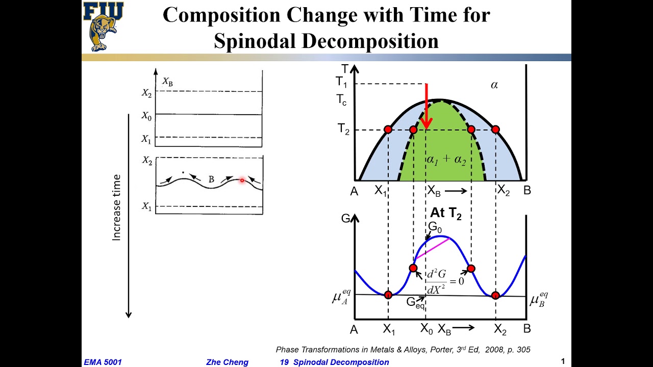 EMA5001 L19-04 Spinodal decomposition - Composition change over time