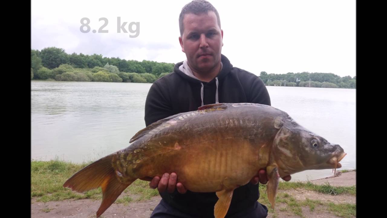carpe 79 bressuire étang de maupertuis juin 2016