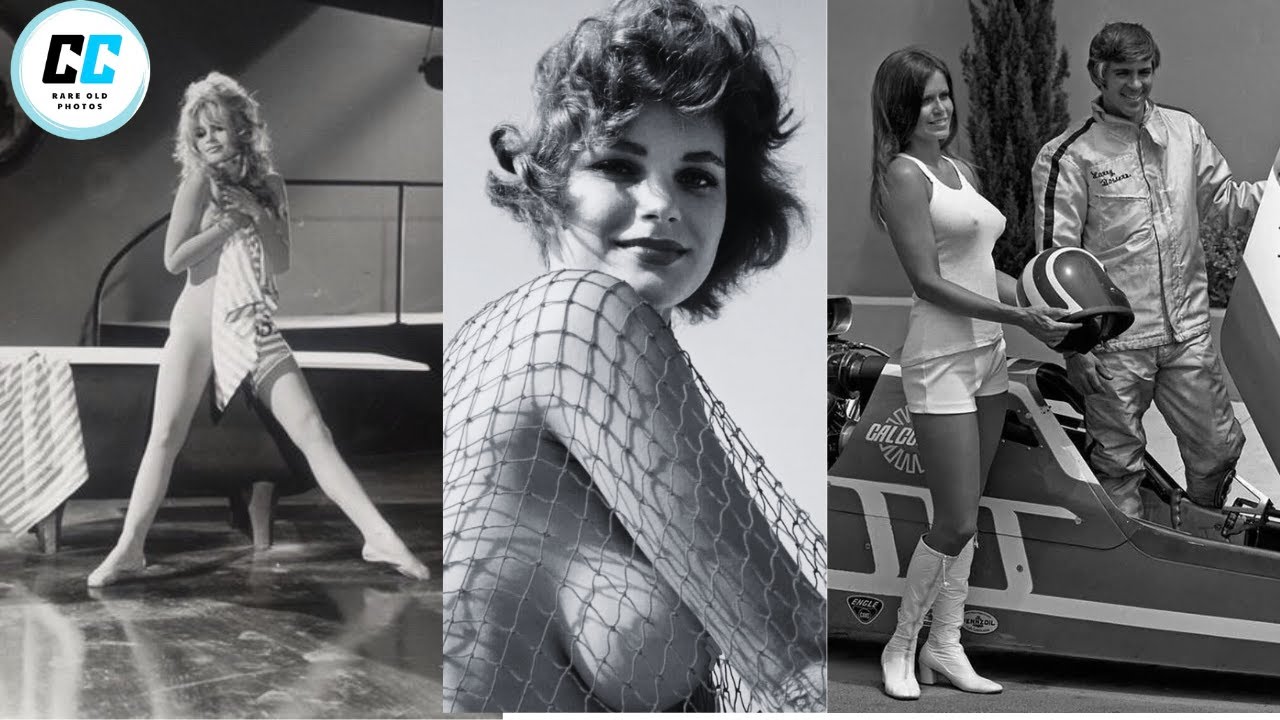 Remember These Hollywood Icons? | 100 Rare Photos of 60s–80s Celebrities