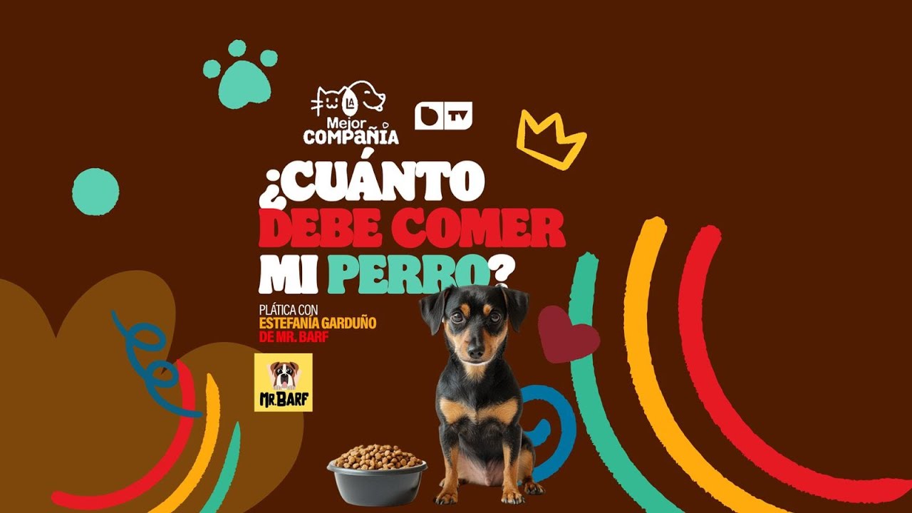 Hoy en La Mejor Compañía: ¿Cuánto debe comer mi perro?