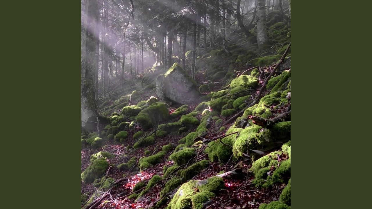 Landscape 1 (Original Motion Picture Soundtrack) (Film excerpt: La quête de l'impossible - The...