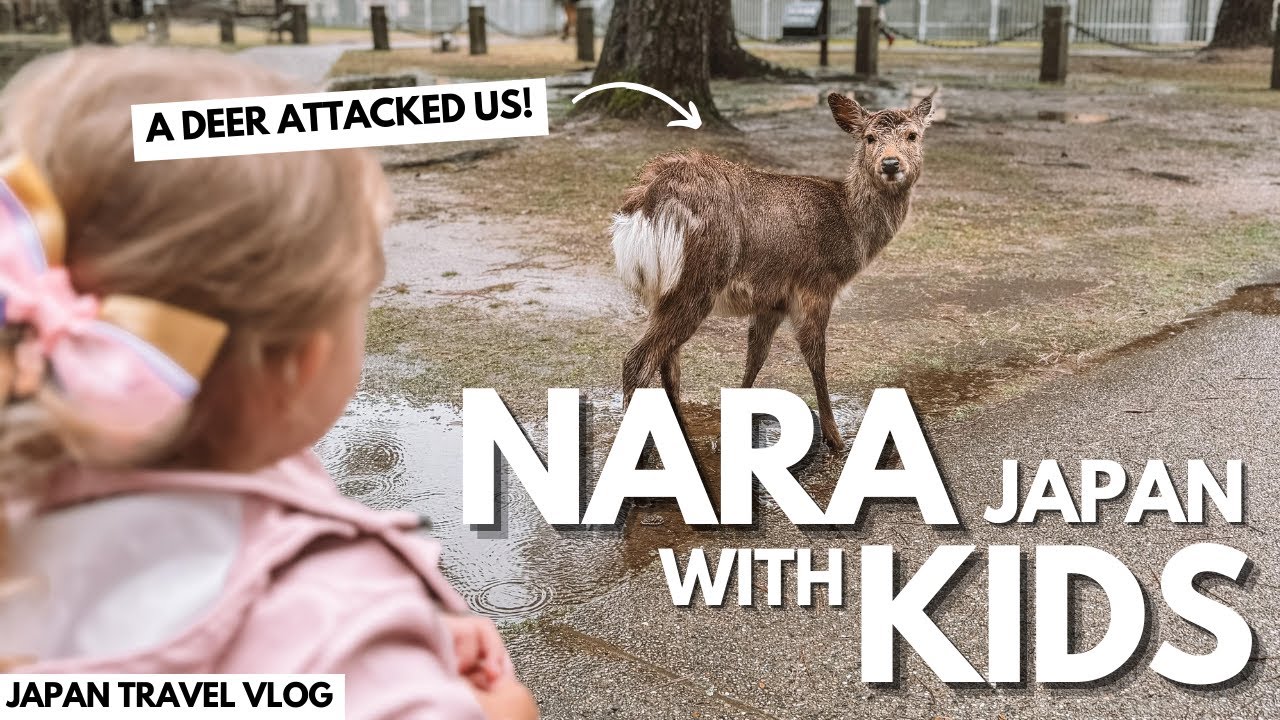 Nara Deer Park with KIDS Japan Travel Vlog