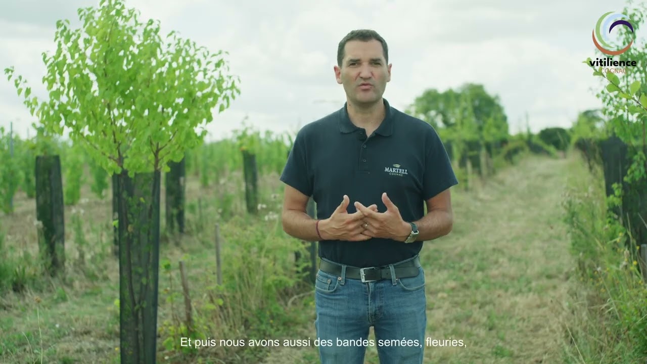 Découvrez le démonstrateur 3C !