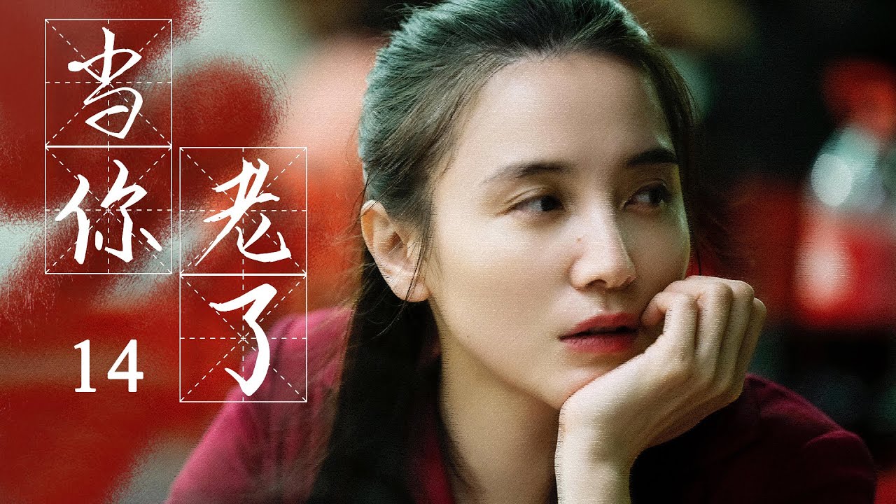 都市家庭伦理剧| 当你老了 14 | 小宋佳,黄磊与功勋演员李雪健共同演绎家的温暖,-好看电视剧
