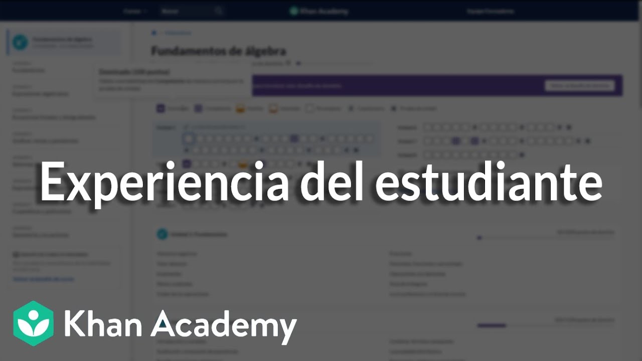 Experiencia del estudiante