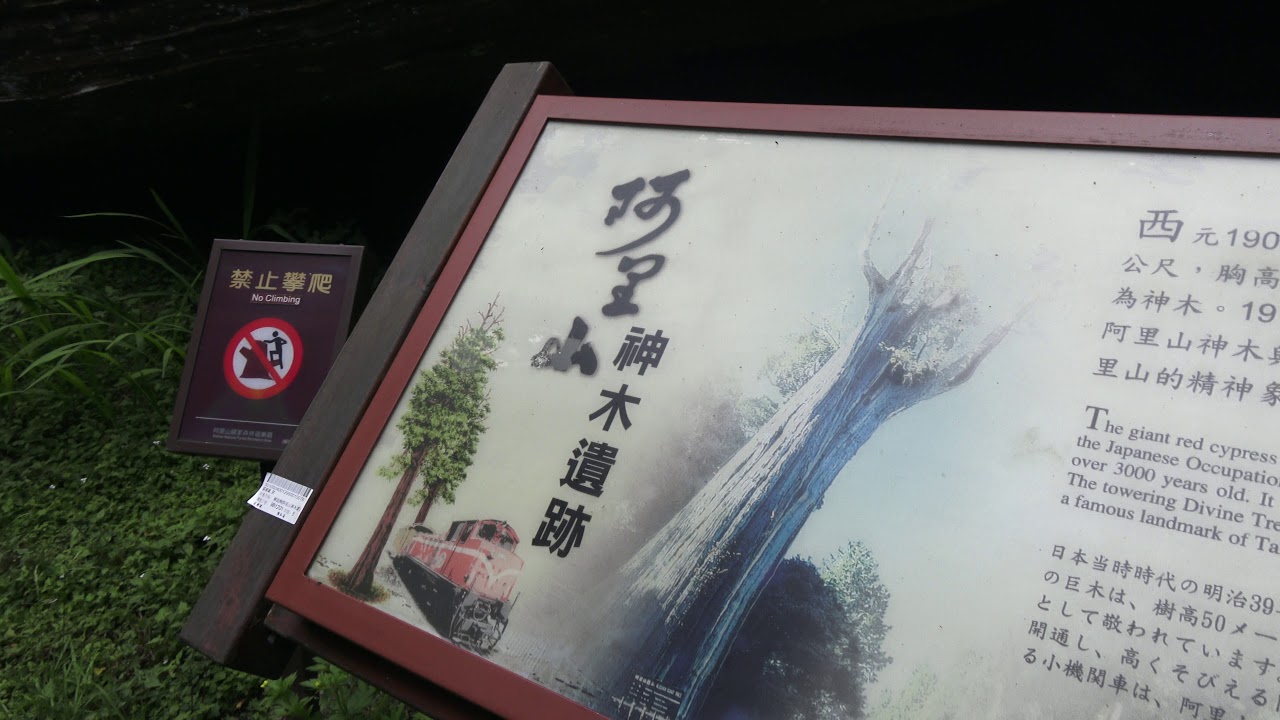 台鐵 阿里山森林鐵路【阿里山火車碰壁】郵輪式列車 神木車站Alishan Forest Railway Train