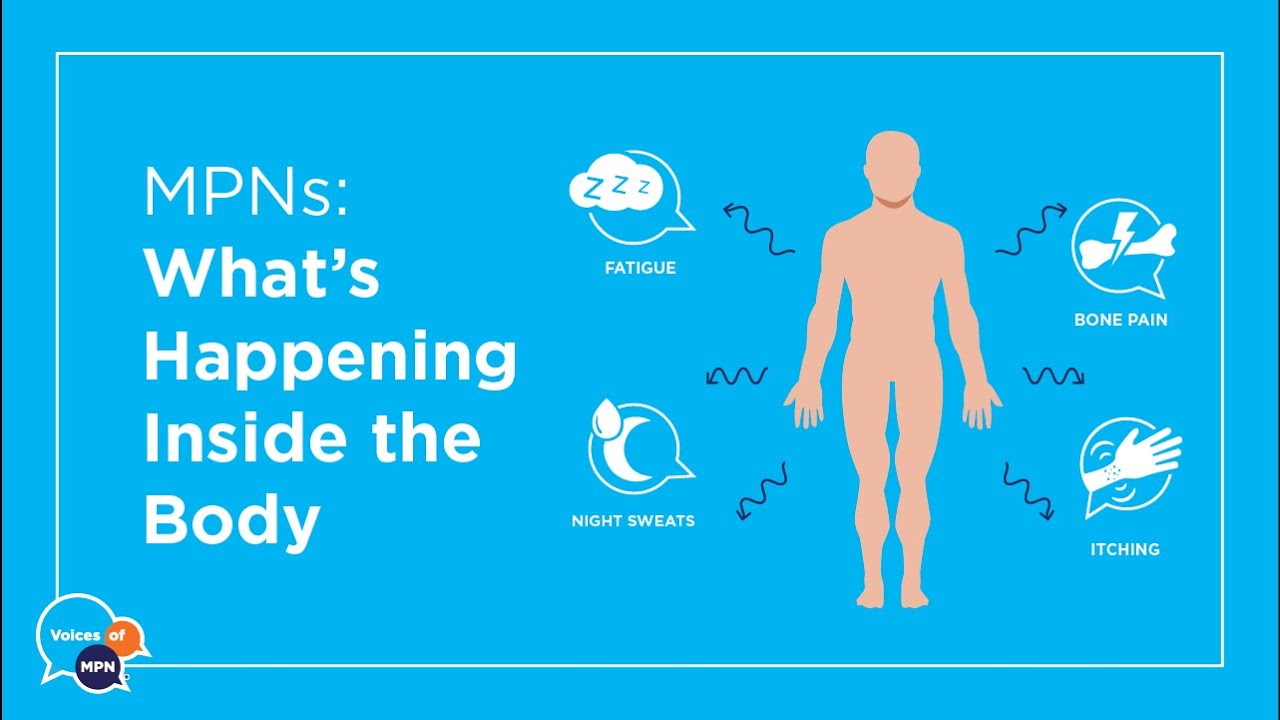 MYELOPROLIFERATIVE NEOPLASMS: What&rsquo;s happening inside the body