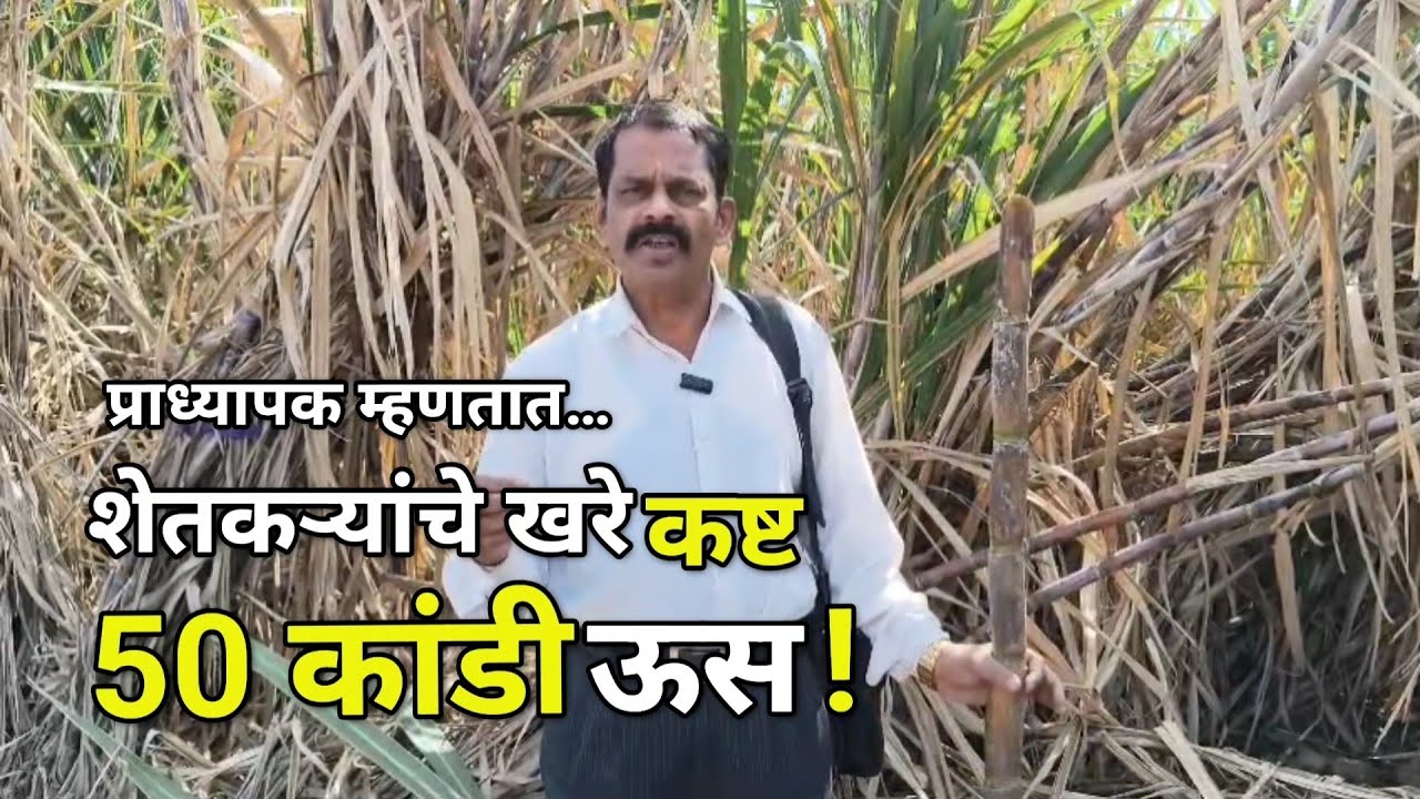 🌾 प्राध्यापकाने केले ऊस उत्पादकाचे कौतुक! 👏