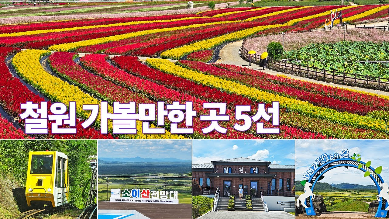 9월 철원 가볼만한 여행지 5선 고석정꽃밭 가을꽃축제 소이산모노레일 #koreatravelguide