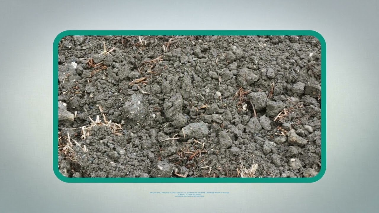 Sonalan 10G Granular Herbicide Application and Use Best Practices 2022