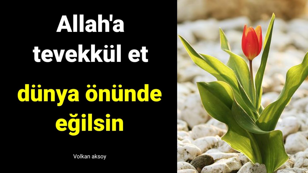 Allah'a tevekkül et dünya önünde eğilsin | Beyazid bestami nasihatler