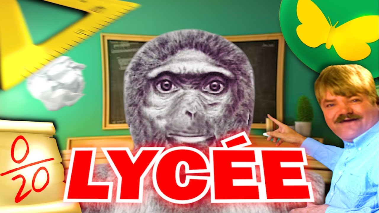 Mes PIRES ANN&Eacute;ES (le lyc&eacute;e)