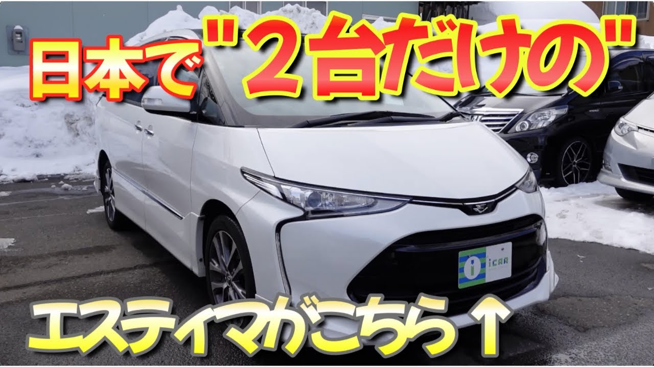 ［ エスティマ / ５０系 ］全国で２台しかないエスティマ(動画撮影時点)［ 中古車 / ミニバン ］