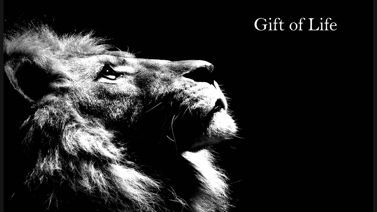Gift of Life - Piano and Strings Edition