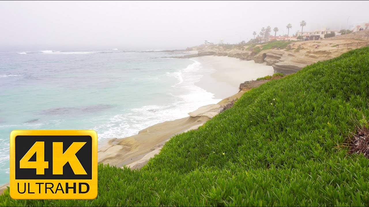 Wave Sounds in La Jolla | 1 Hour 4K ASMR