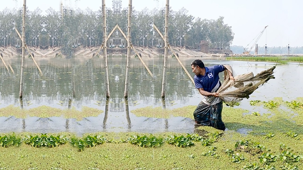 Unbelievable Catch Net Fishing Video - Best Net Fishing Video in River - Net Fishing Video