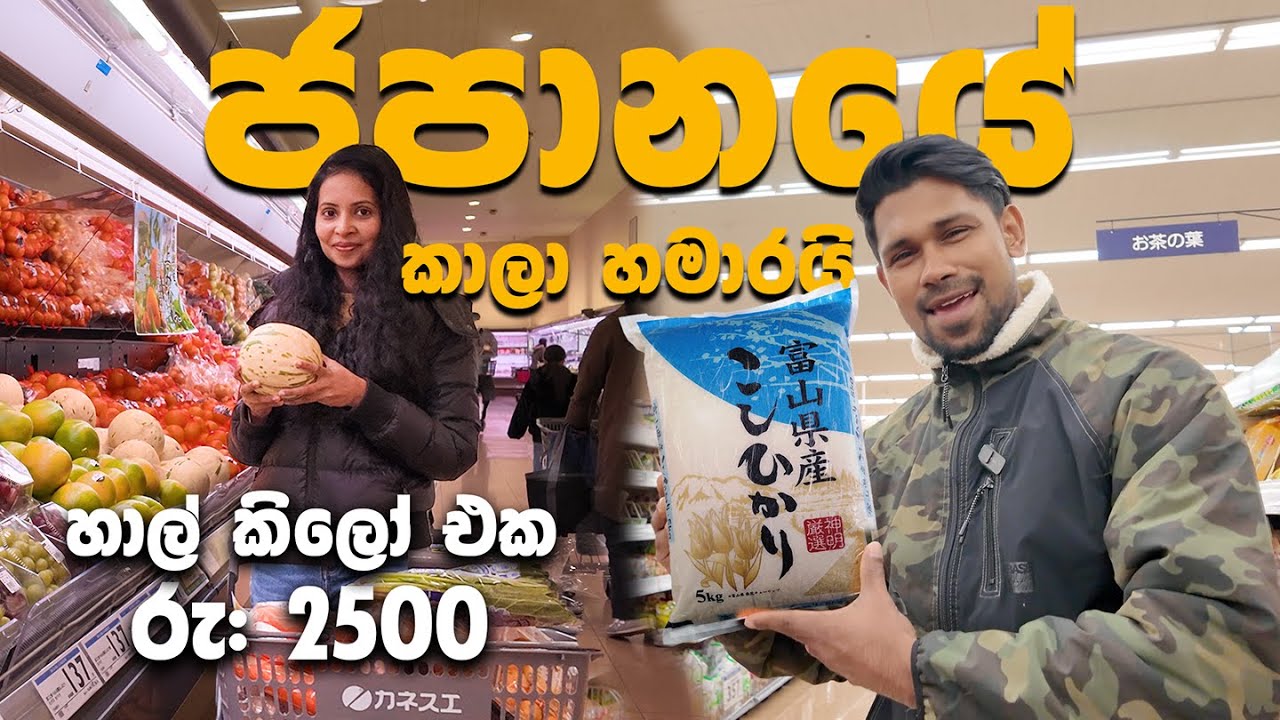 අහස උසට ගිය ජපානයේ බඩු මිල |Grocery Shopping Eperience