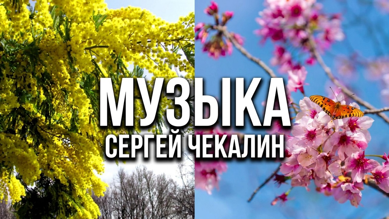 Сборник - 3. Музыка Сергея Чекалина. Collection - 3. Music Sergey Chekalin.