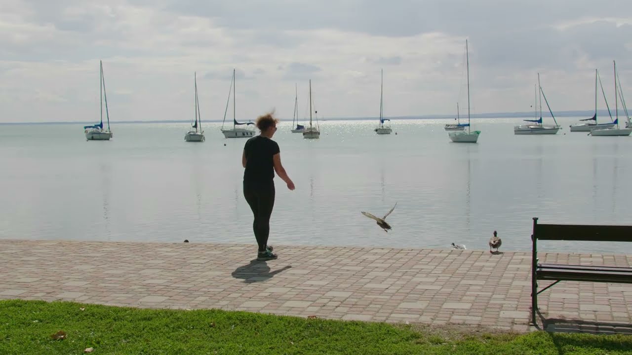 Balatonalmádi bemutatása  - Fedezzétek fel Balatonalmádit!