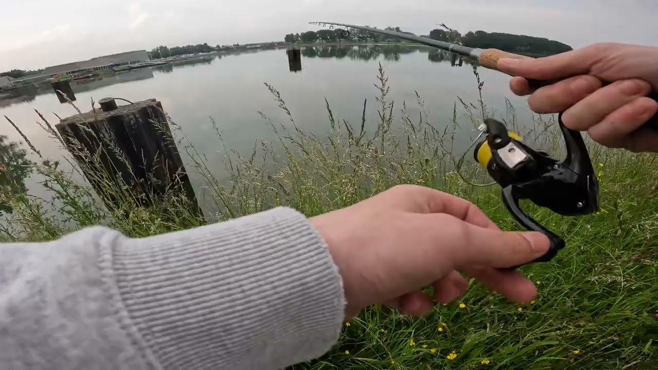 On n’a 30 minutes pour prendre du poissons