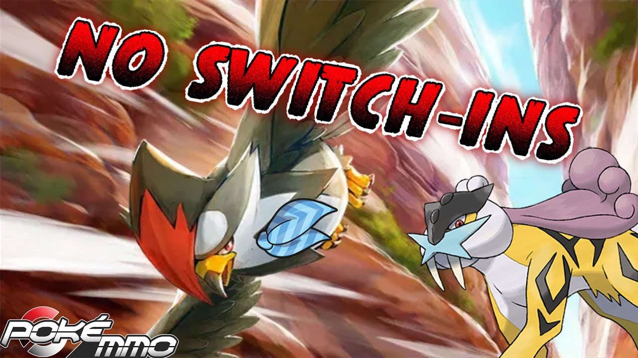 STARAPTOR is the BRAVEST BIRD! ft. 