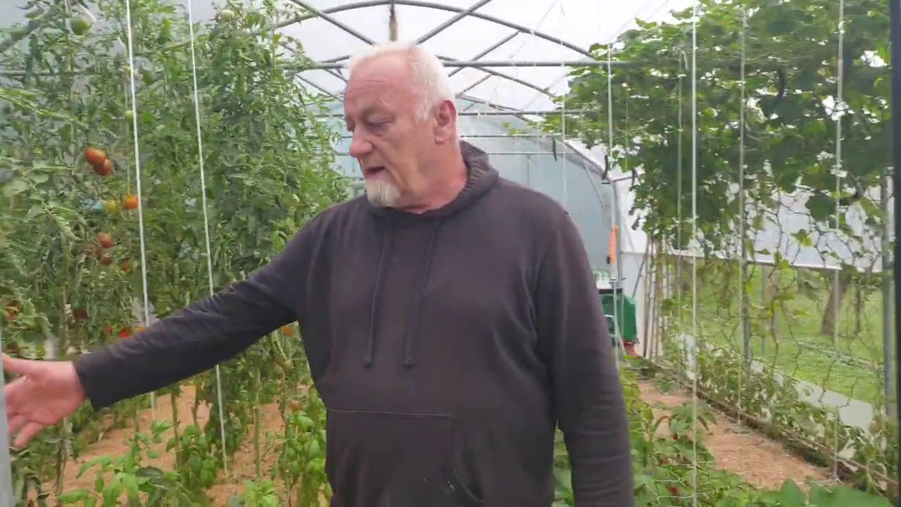 Na&scaron; vrt - konec poletja 💚🍅🍆🥦🥒