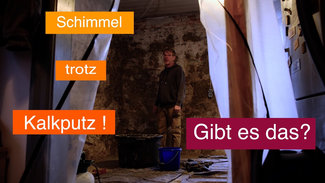 Ist Schimmel auf einem Kalkputz möglich?