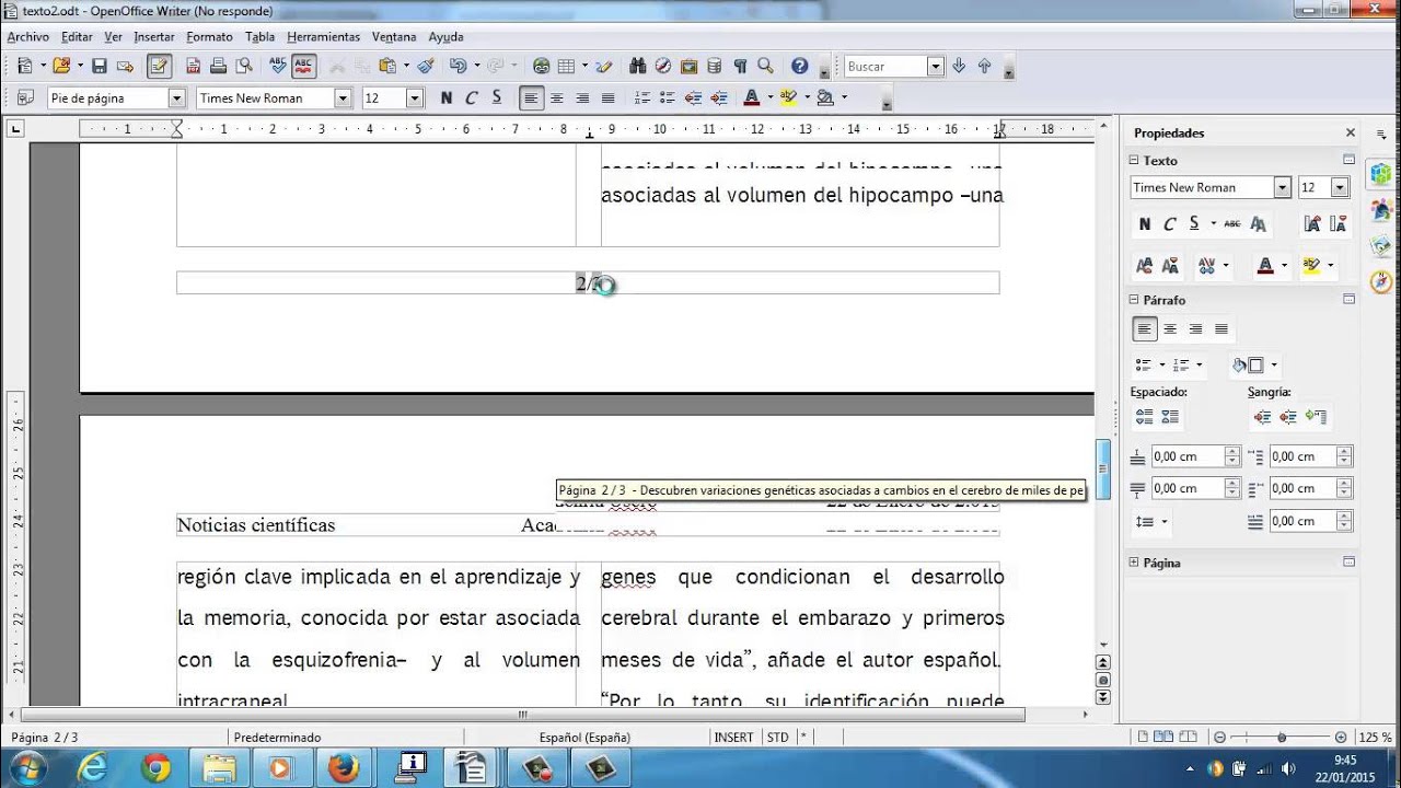 Encabezados y pies de pagina Writer OpenOffice Academia Usero Estepona