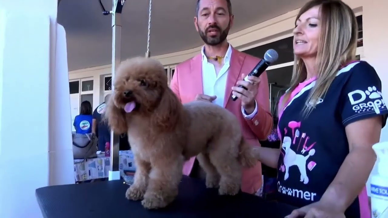 Dog Show Sassari 2025 interviste ai partecipanti