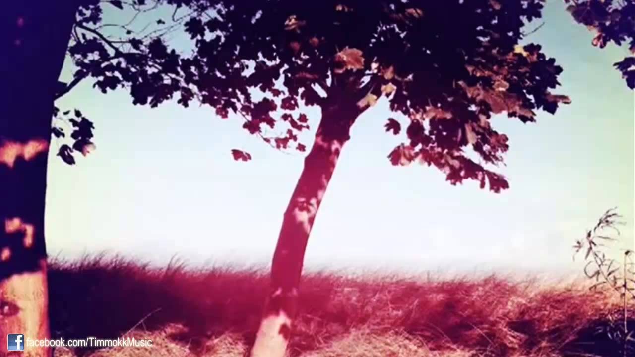 Timmokk - Alte Rostlaube (Original Mix)