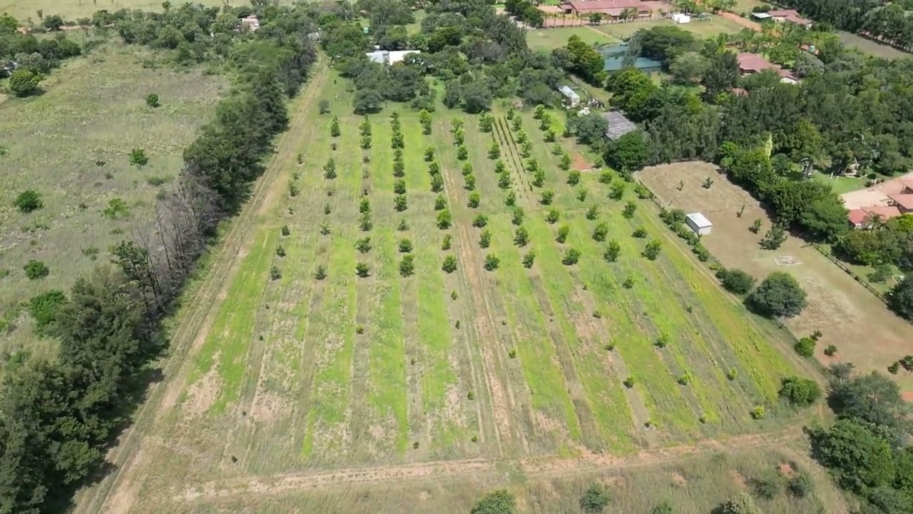 4.6ha Secure Lifestyle Farm with A-Frame Home, Pecan Orchard & Camps