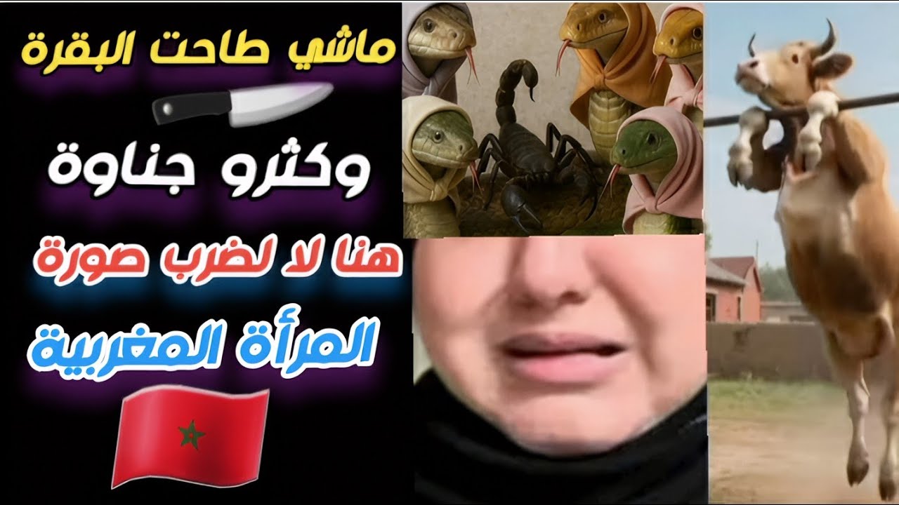هيا مابقات مساليا تفسر ليكم الناطقة بالأسم ديالها 🐍 قالت ليكم الماليزيين مايدخلو بين راجل ومراتو 😂