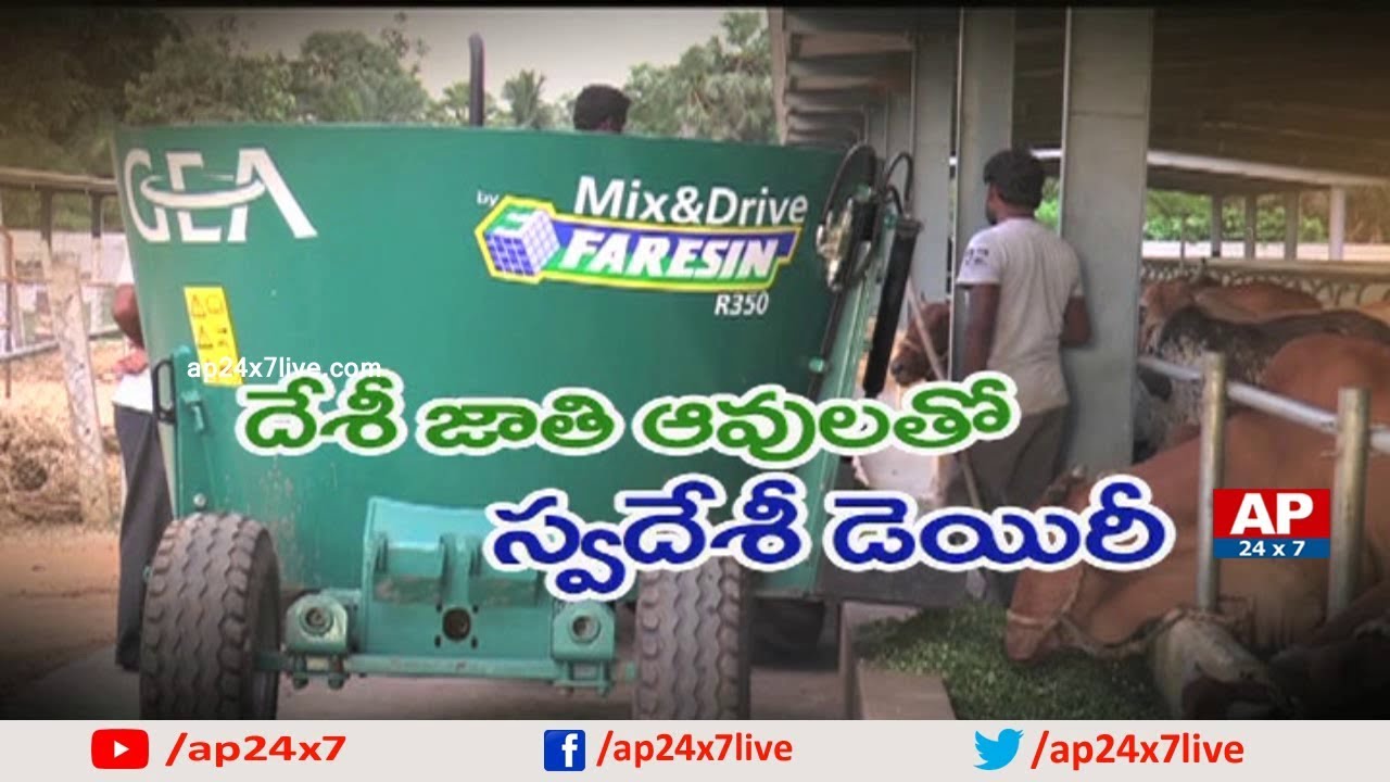Country Cows Commercial Dairy Farming by Harish Kumar | Rythu Ratham | AP24x7