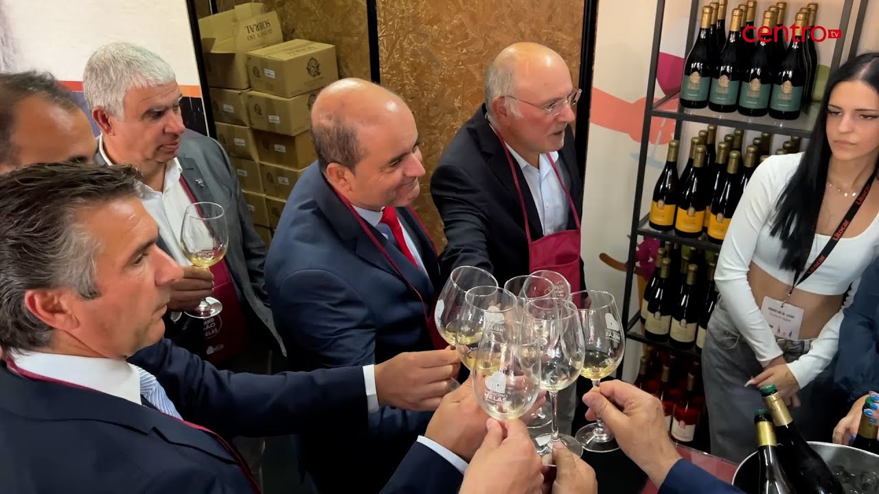 Feira do Vinho do Dão inaugurada em Nelas com 40 expositores