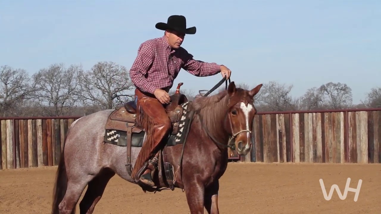 Bit Basics with Richard Winters: The Loping Hackamore
