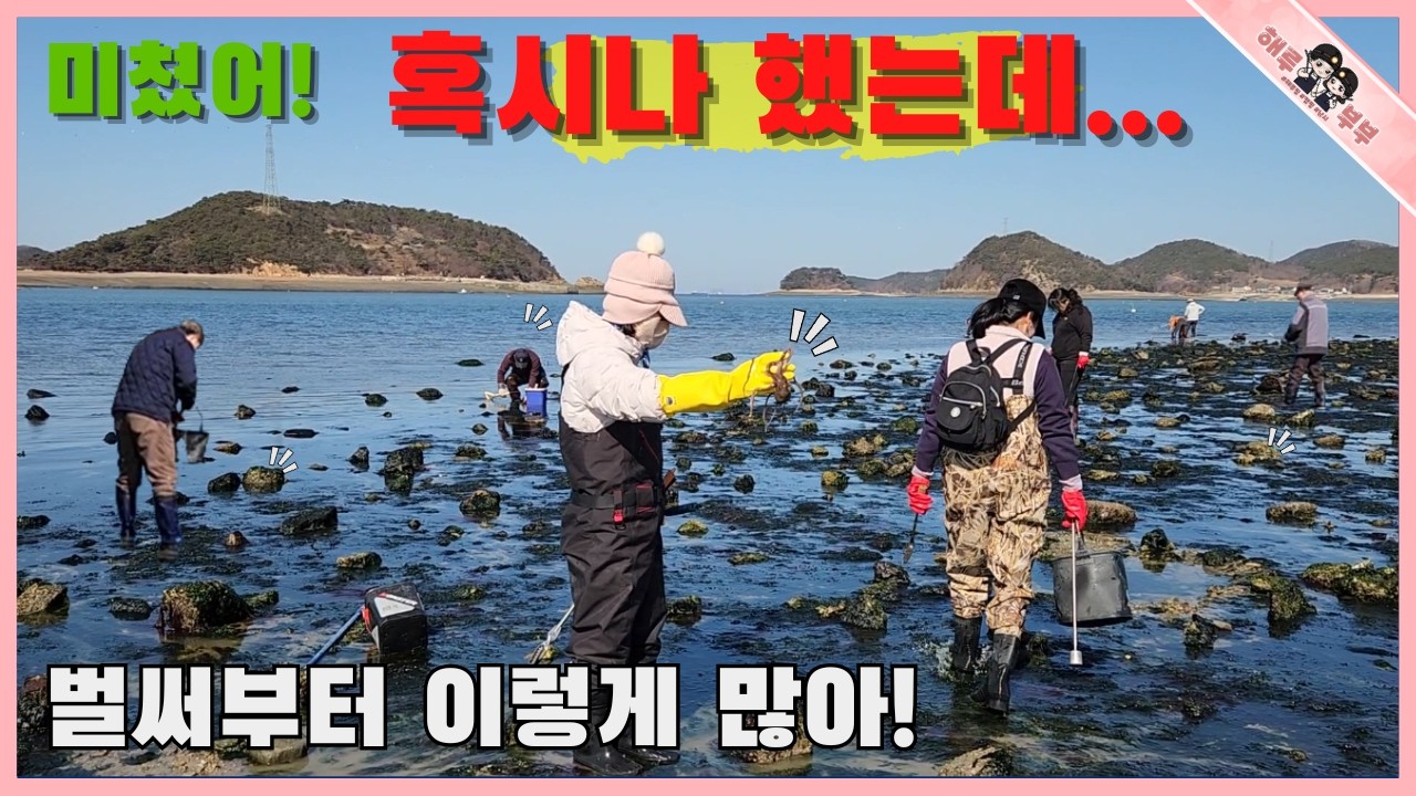 선착장 돌 많은 지형에서 또 터졌다 물때되면 큰일났네!