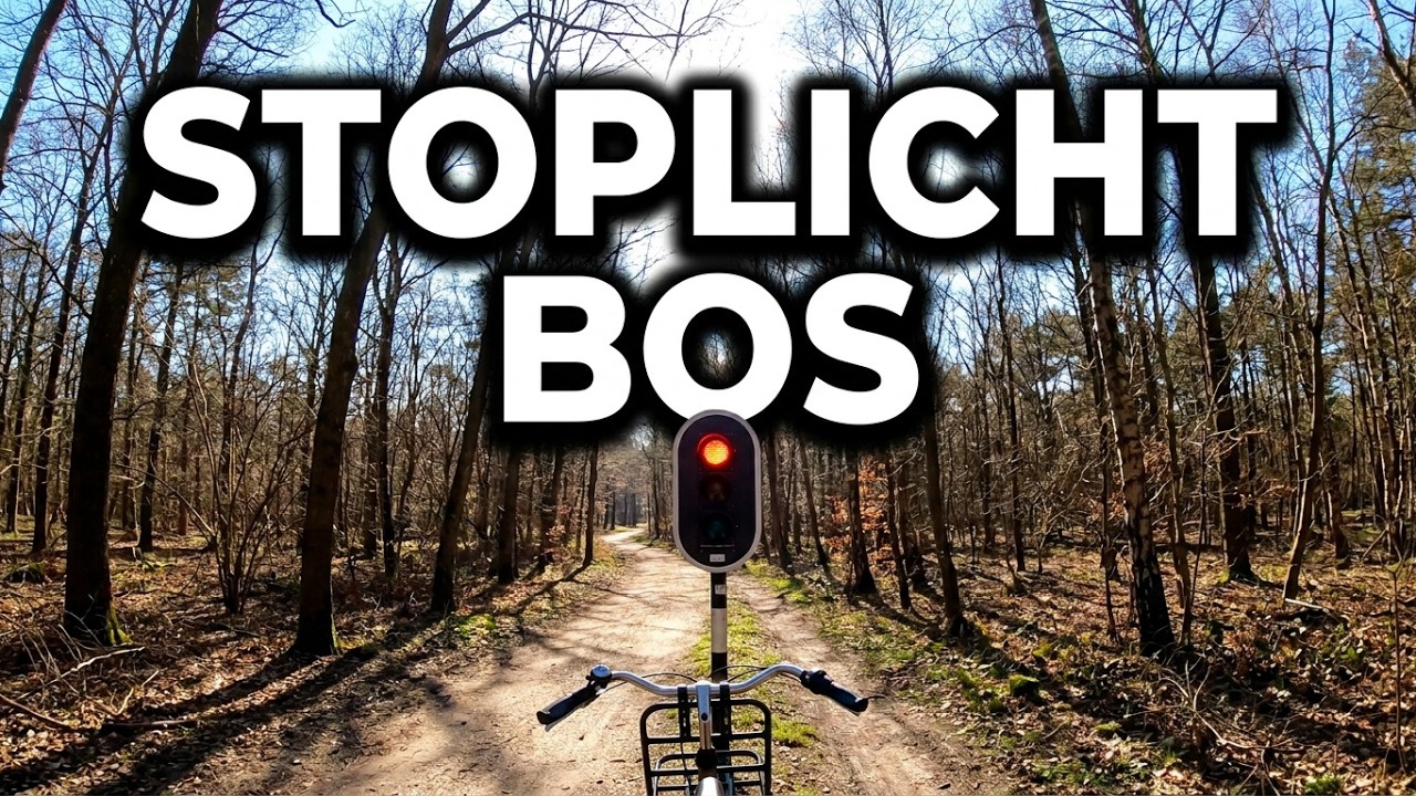 Veluwe bos rit met knooppunten einde winter 2022.  Stoplichten in het bos,  Eibertjespad, Elspeter