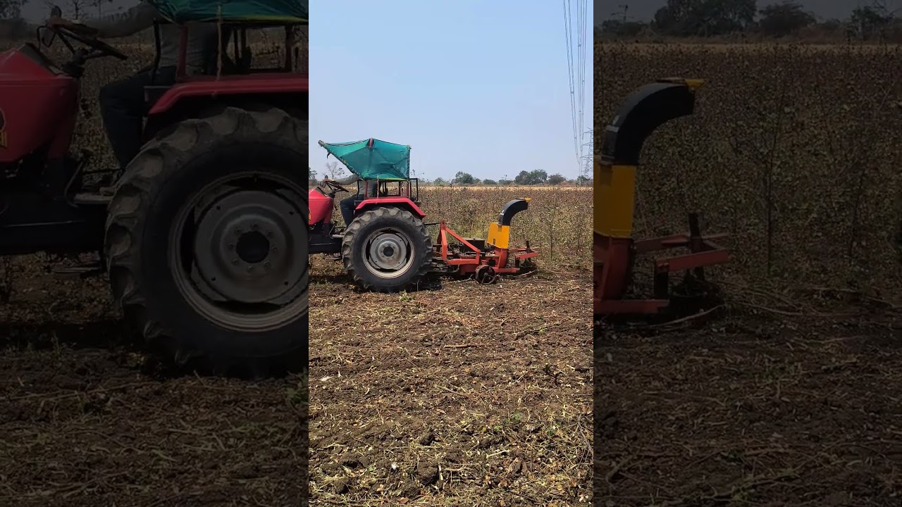 cotton shredder working on cotton plot