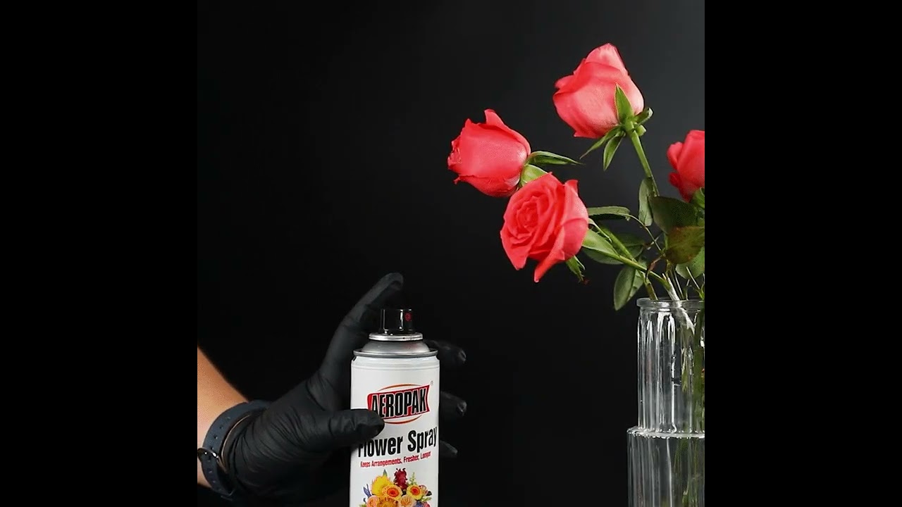Aeropak 200ml aerosol Spray Paint For Real Flowers In different Colors