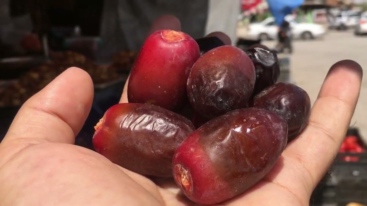 انواع تمور الرطب في مدينة مندلي