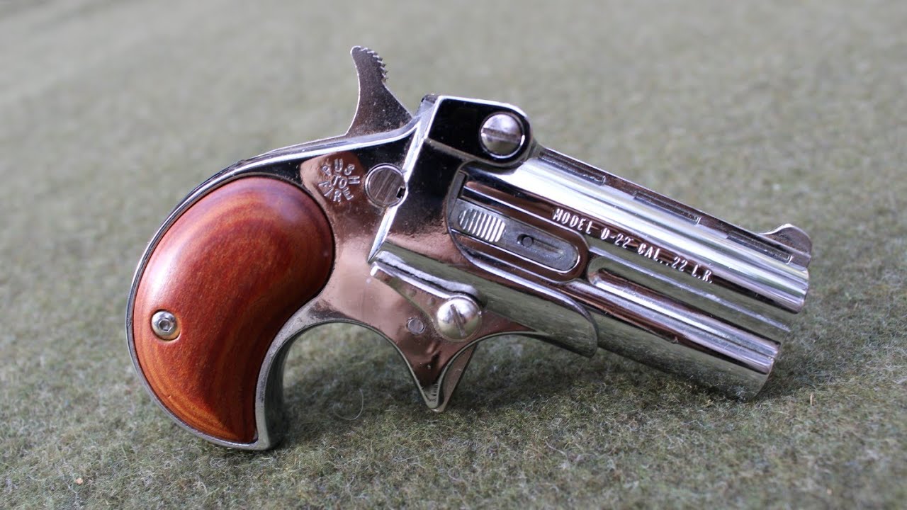D-22 Derringer 22LR (Review) Davis Industries