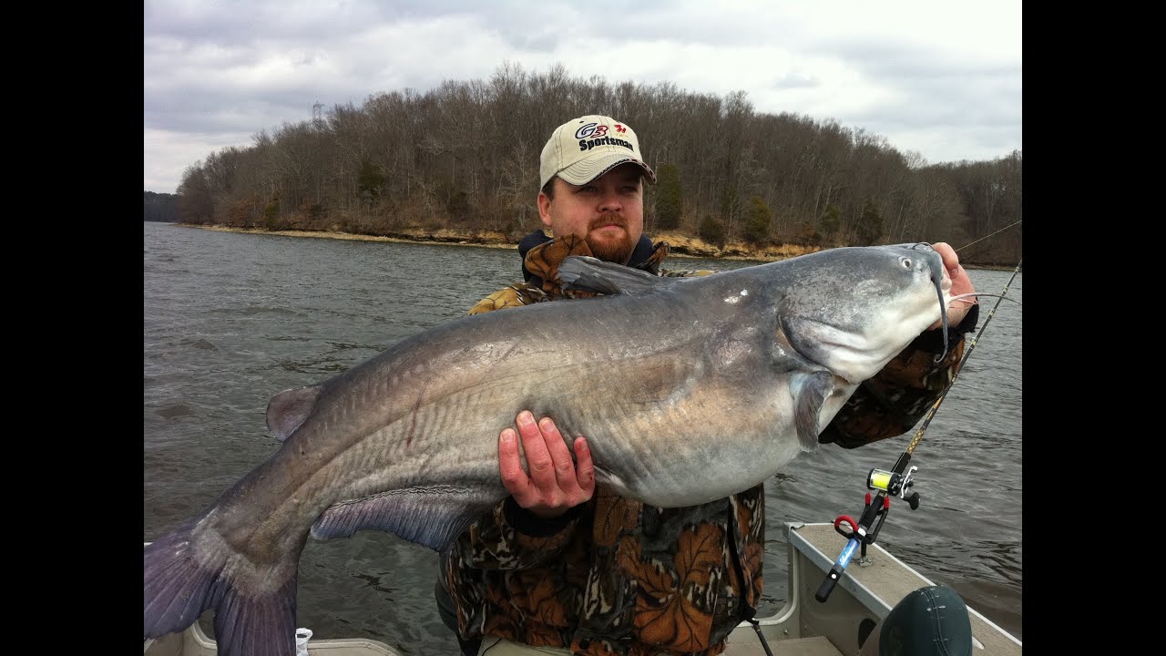 G3 Sportsman TV - Bama Blues